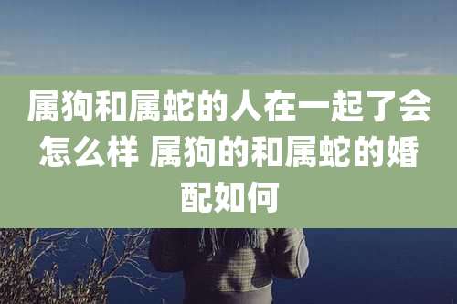 属狗和属蛇的人在一起了会怎么样 属狗的和属蛇的婚配如何