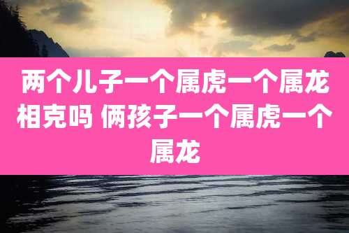 两个儿子一个属虎一个属龙相克吗 俩孩子一个属虎一个属龙
