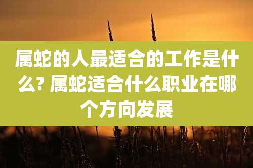 属蛇的人最适合的工作是什么? 属蛇适合什么职业在哪个方向发展