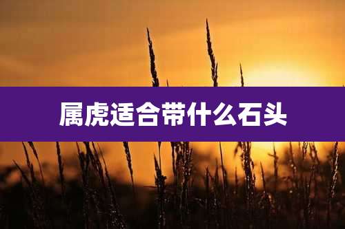 属虎适合带什么石头