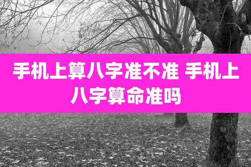 手机上算八字准不准 手机上八字算命准吗