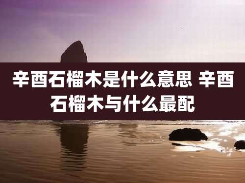 辛酉石榴木是什么意思 辛酉石榴木与什么最配