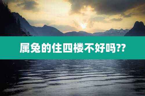 属兔的住四楼不好吗??