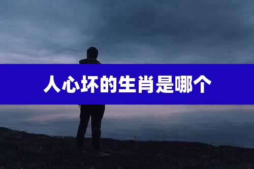 人心坏的生肖是哪个