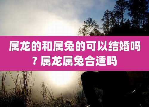 属龙的和属兔的可以结婚吗? 属龙属兔合适吗