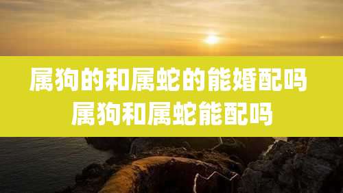 属狗的和属蛇的能婚配吗 属狗和属蛇能配吗