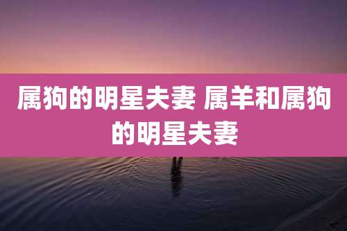 属狗的明星夫妻 属羊和属狗的明星夫妻