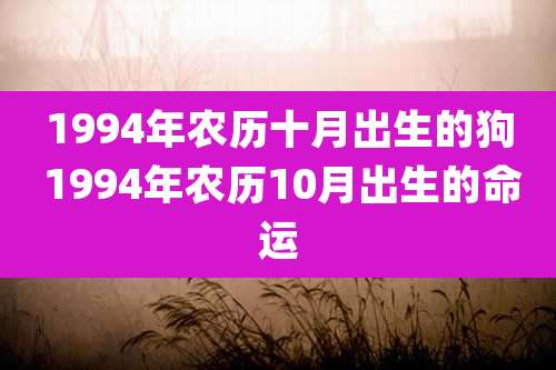 1994年农历十月出生的狗 1994年农历10月出生的命运