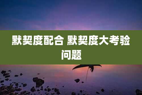 默契度配合 默契度大考验问题