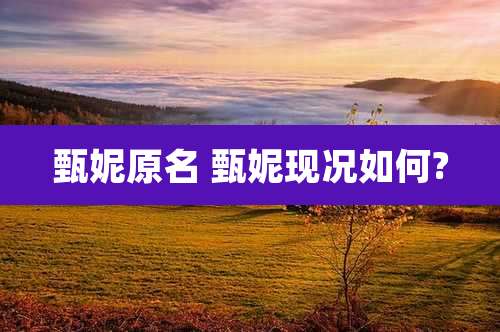 甄妮原名 甄妮现况如何?