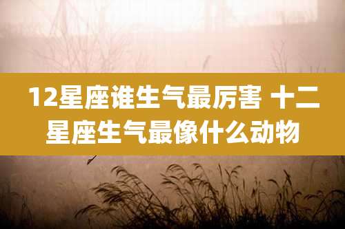 12星座谁生气最厉害 十二星座生气最像什么动物