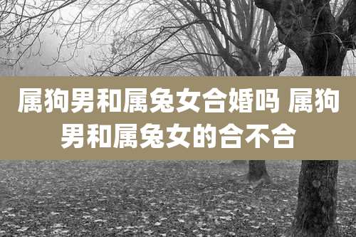 属狗男和属兔女合婚吗 属狗男和属兔女的合不合
