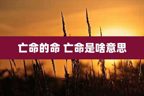 亡命的命 亡命是啥意思