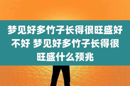 梦见好多竹子长得很旺盛好不好 梦见好多竹子长得很旺盛什么预兆