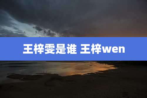 王梓雯是谁 王梓wen