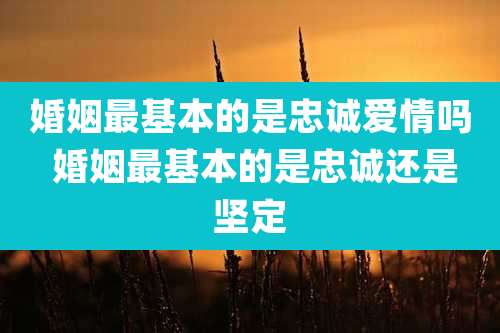 婚姻最基本的是忠诚爱情吗 婚姻最基本的是忠诚还是坚定
