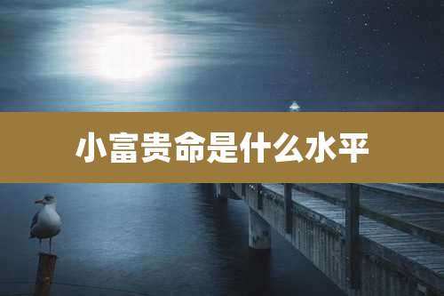 小富贵命是什么水平
