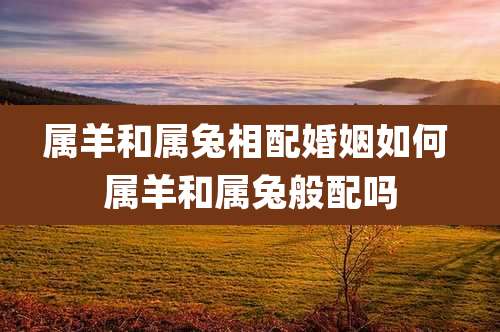 属羊和属兔相配婚姻如何 属羊和属兔般配吗