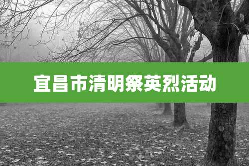 宜昌市清明祭英烈活动