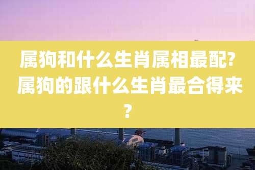 属狗和什么生肖属相最配? 属狗的跟什么生肖最合得来?