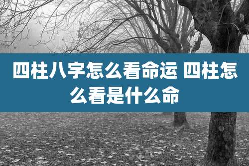 四柱八字怎么看命运 四柱怎么看是什么命