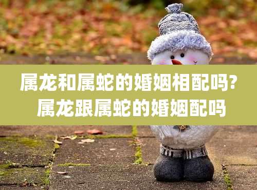 属龙和属蛇的婚姻相配吗? 属龙跟属蛇的婚姻配吗