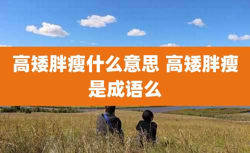 高矮胖瘦什么意思 高矮胖瘦是成语么