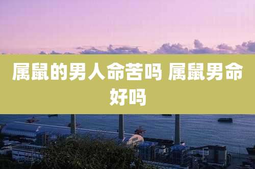 属鼠的男人命苦吗 属鼠男命好吗