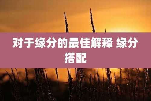 对于缘分的最佳解释 缘分搭配