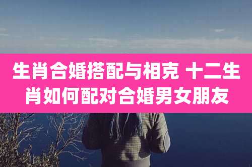 生肖合婚搭配与相克 十二生肖如何配对合婚男女朋友