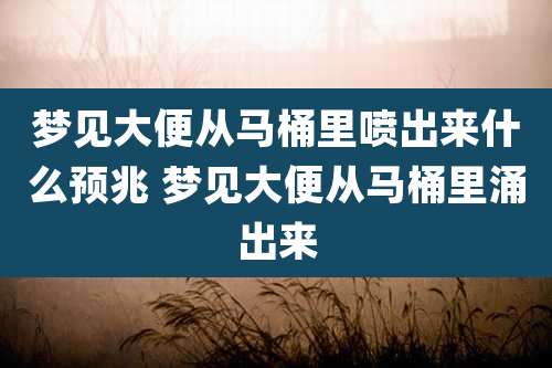 梦见大便从马桶里喷出来什么预兆 梦见大便从马桶里涌出来
