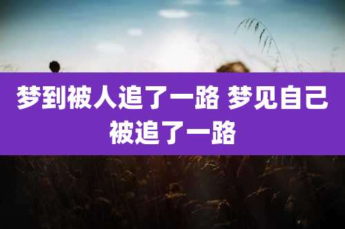 梦到被人追了一路 梦见自己被追了一路