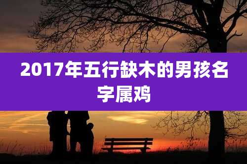 2017年五行缺木的男孩名字属鸡