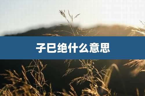 子巳绝什么意思