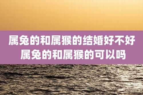 属兔的和属猴的结婚好不好 属兔的和属猴的可以吗