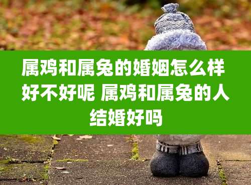 属鸡和属兔的婚姻怎么样 好不好呢 属鸡和属兔的人结婚好吗