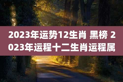 2023年运势12生肖 黑榜 2023年运程十二生肖运程属