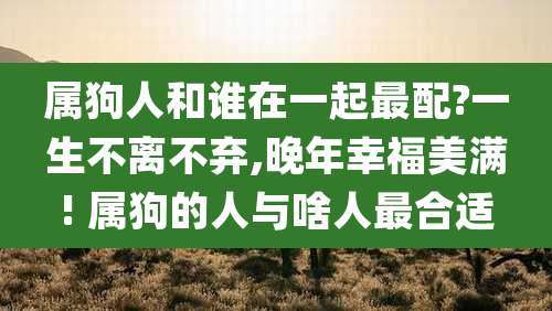 属狗人和谁在一起最配?一生不离不弃,晚年幸福美满! 属狗的人与啥人最合适